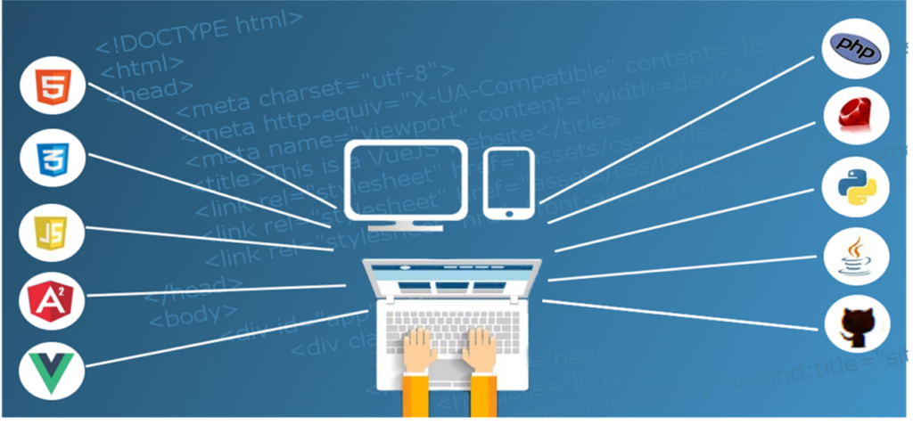 web design vs web development